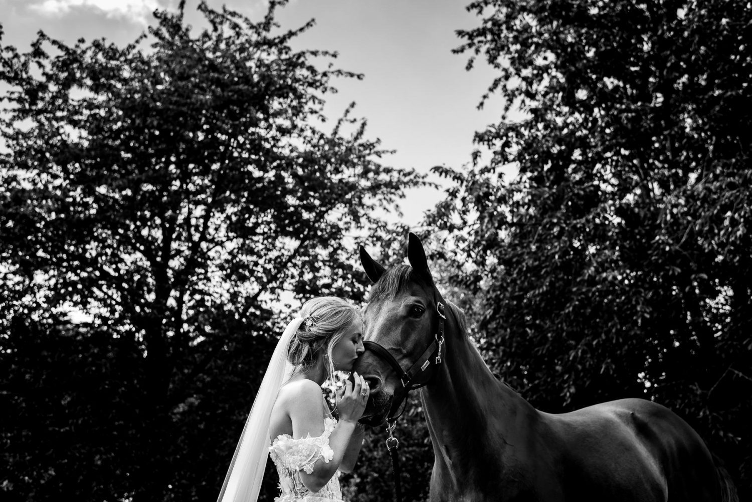 Trouwen met Paard | Trouwfotograaf Nijmegen | Slot Doddendael