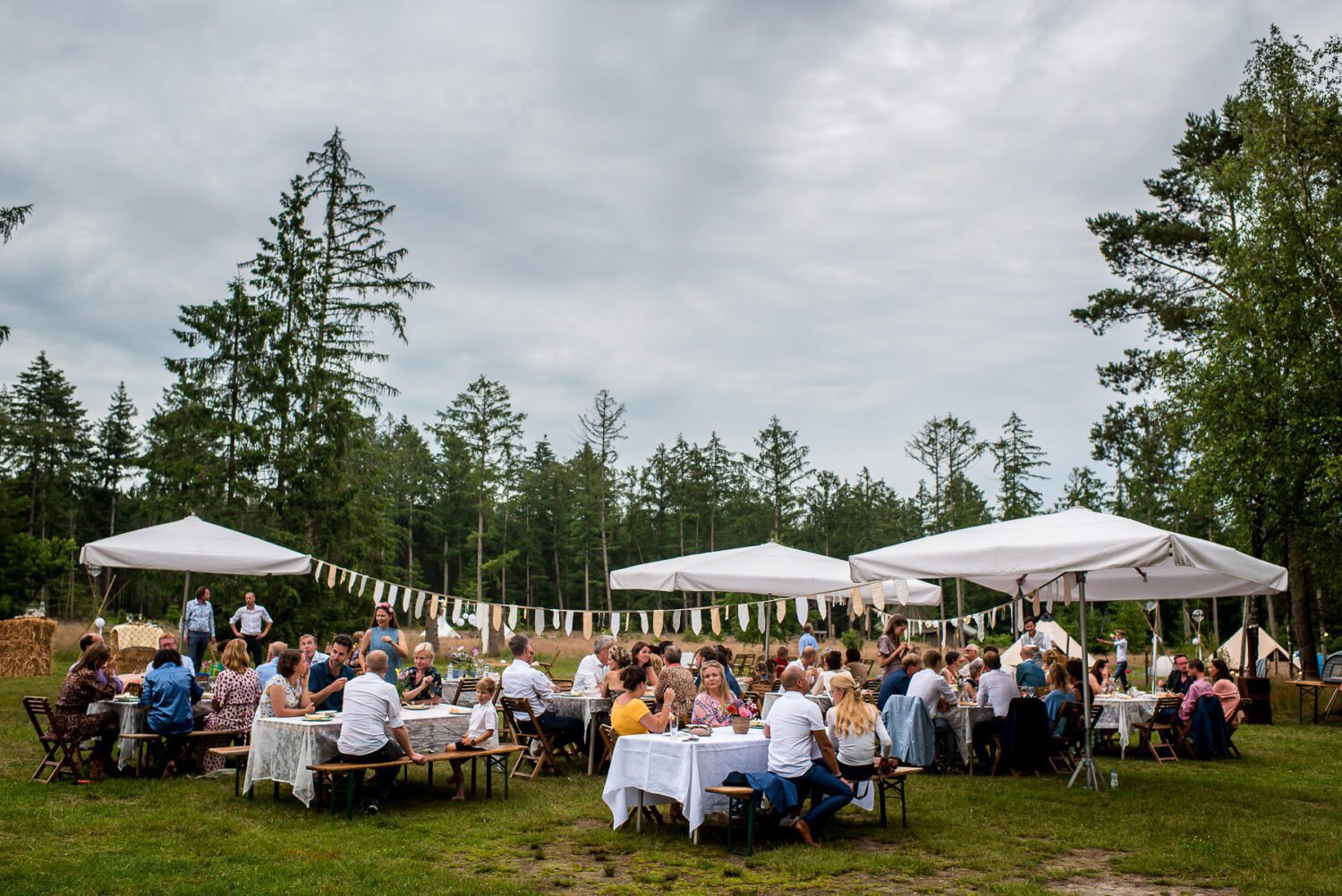 Festival bruiloft op de Veluwe Epe